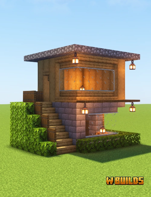 Modern Starter House