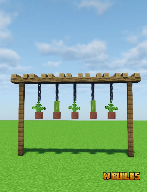 Hanging Plants