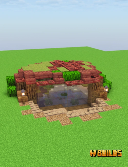 Frog Enclosure