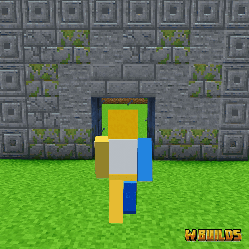 Fully Automatic Door