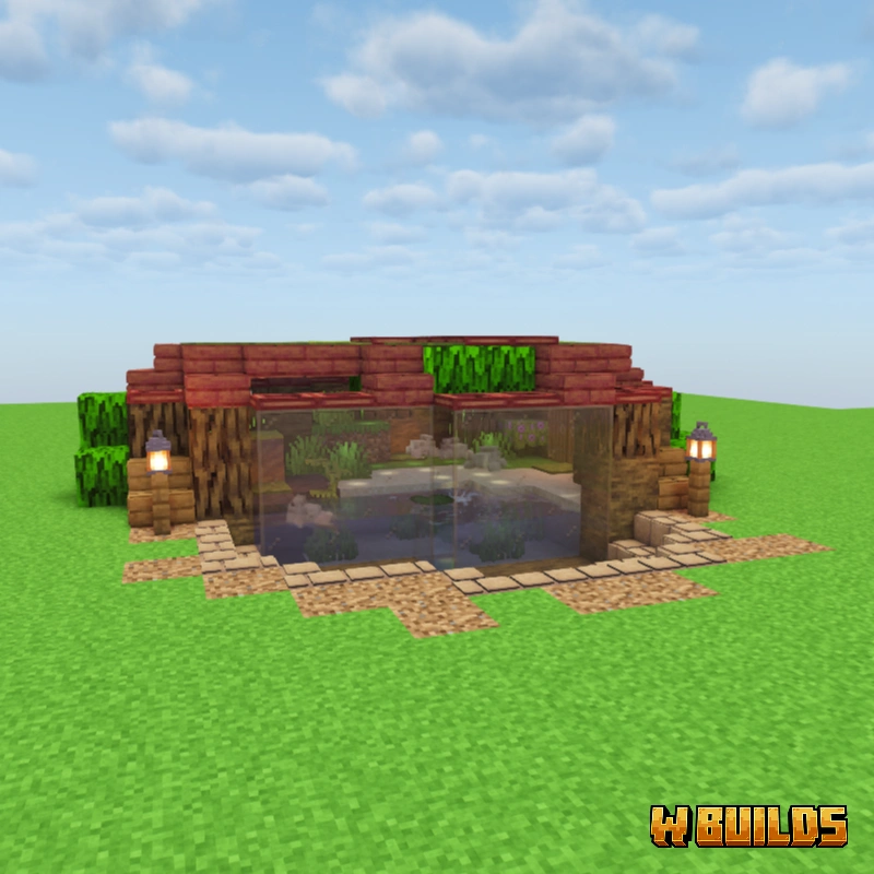Frog Enclosure