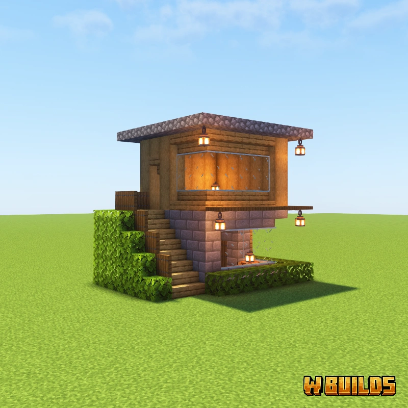 Modern Starter House