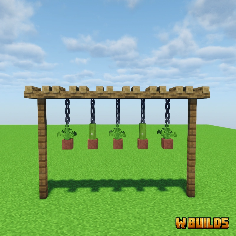 Hanging Plants